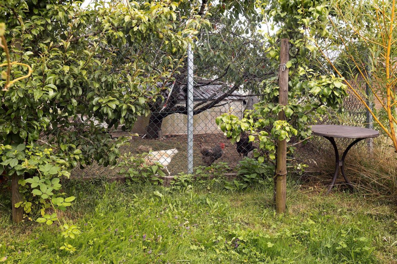 Zum Haselbach Apartment Weilheim Екстериор снимка